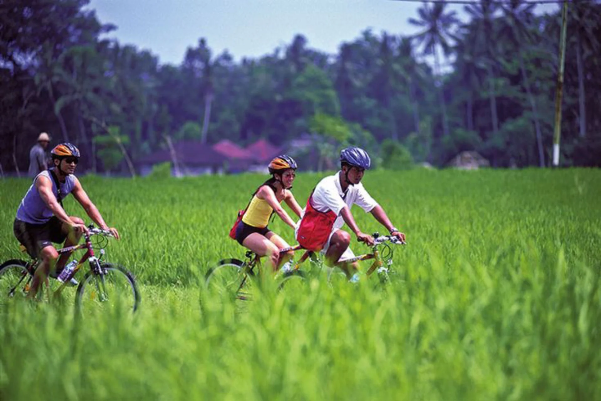 cycling at ubud